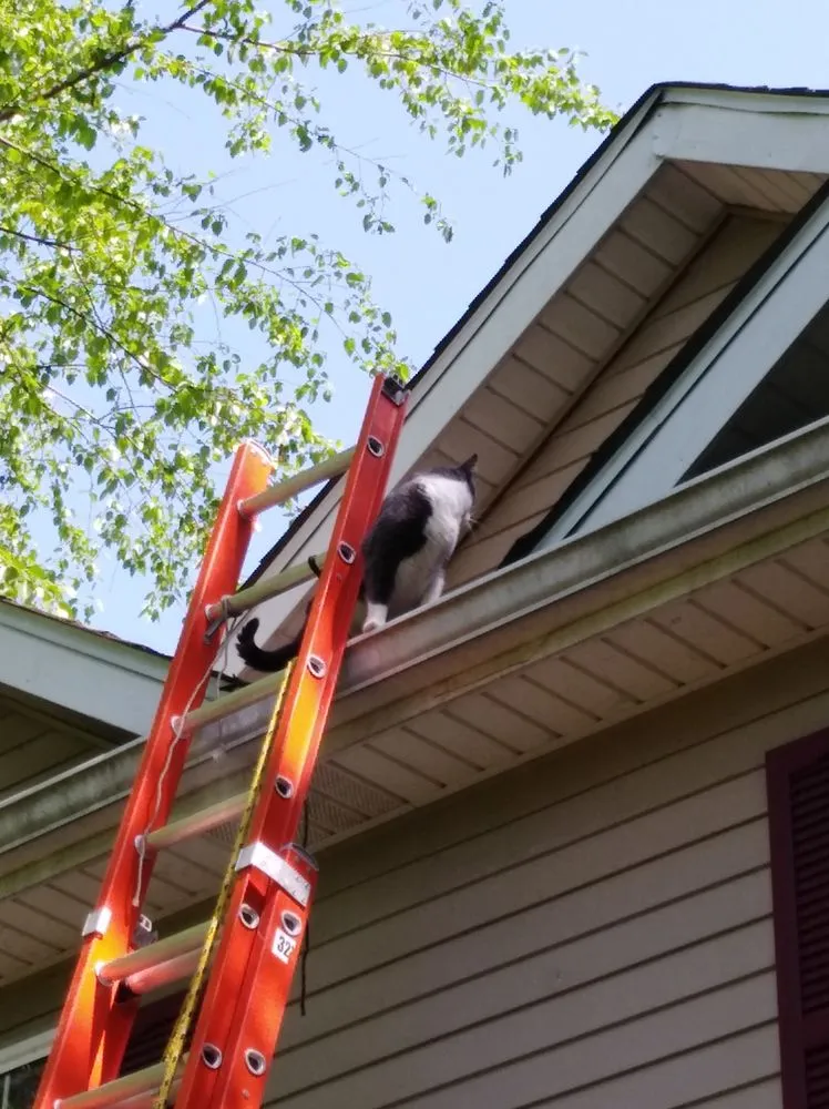 Reliable garden landscaping in Alton, IL by Diversified Outdoor Services