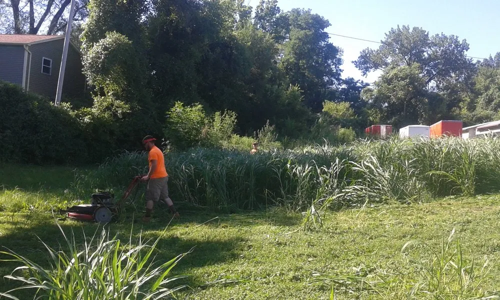 Affordable yard cleanup service experts serving Alton, IL - Diversified Outdoor Services