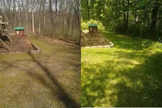 Expert landscape design for beautiful yards in Alton, IL by Diversified Outdoor Services