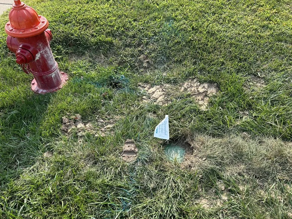 Professional landscape installation experts serving Highland, IL - Diversified Services