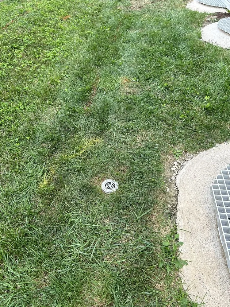 Reliable lawn care service for year-round maintenance in Highland, IL by Diversified Services