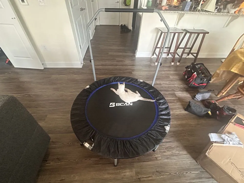 Professional lawn care service in Shillington, PA - Diversified Services