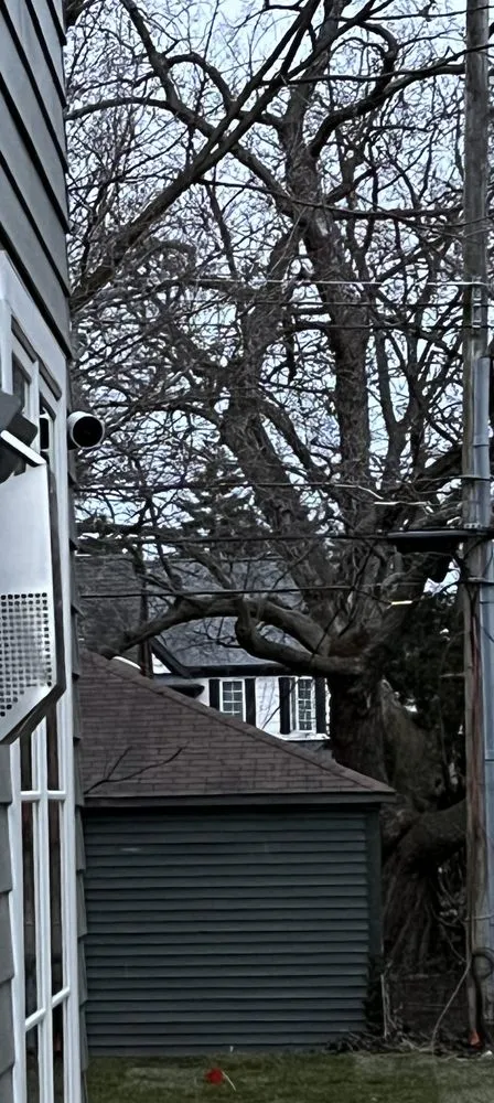 Top-rated lawn mowing service for beautiful yards in Clinton Township, MI by Diversified Technology Solutions