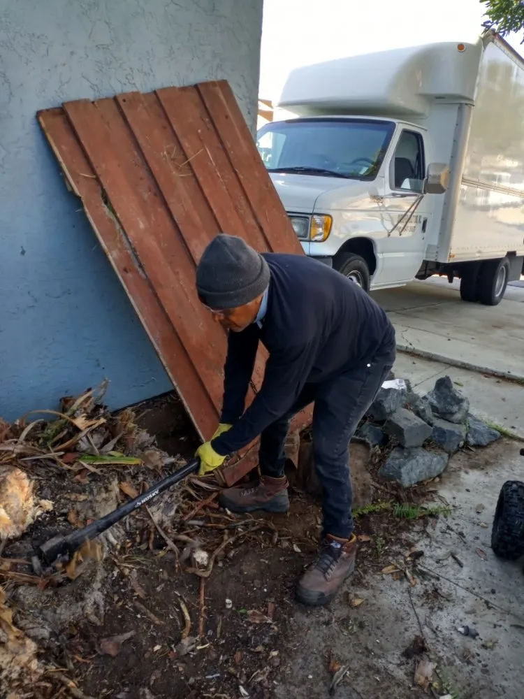 Custom landscape installation for year-round maintenance across San Diego, CA - Diversified Tree Services