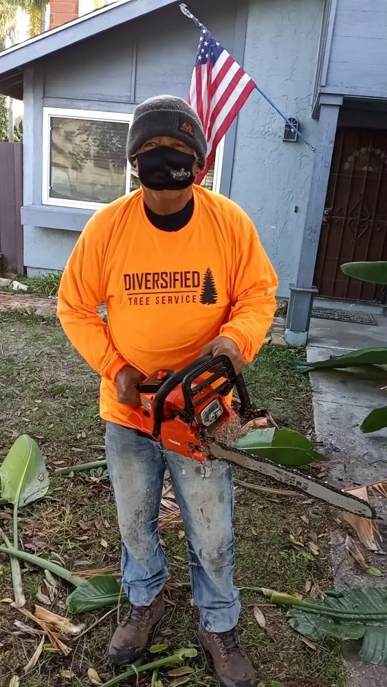 Top-rated yard cleanup service experts serving San Diego, CA - Diversified Tree Services
