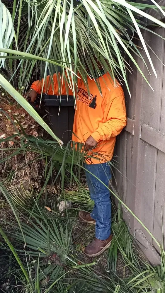 Reliable outdoor landscaping in San Diego, CA by Diversified Tree Services