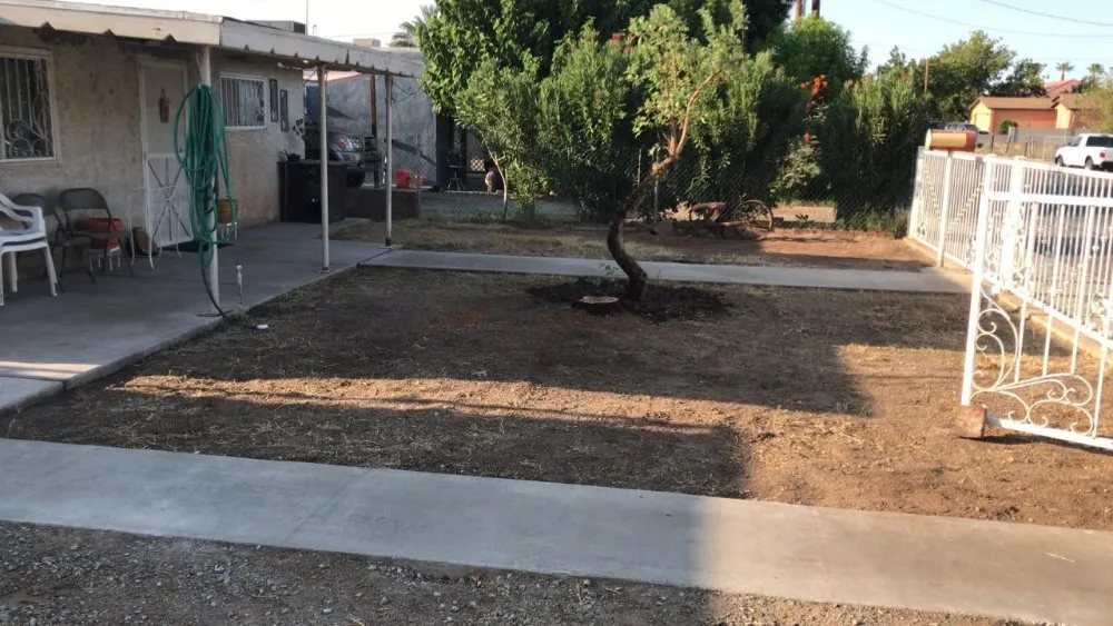 Local yard cleanup service in San Diego, CA by Diversified Tree Services