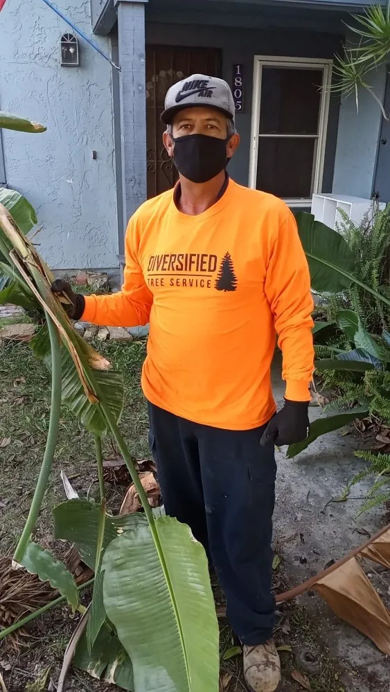 Reliable landscape installation for outdoor upgrades across San Diego, CA - Diversified Tree Services