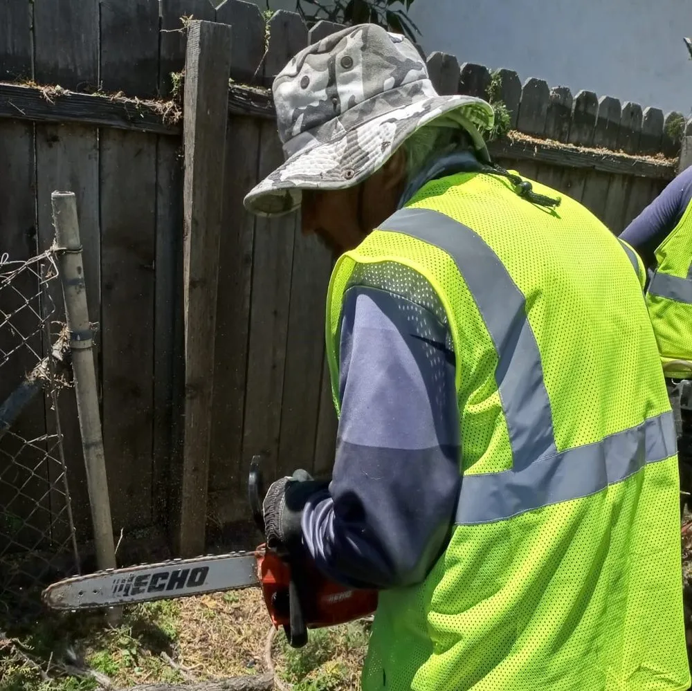 Local landscaping services experts serving San Diego, CA - Diversified Tree Services