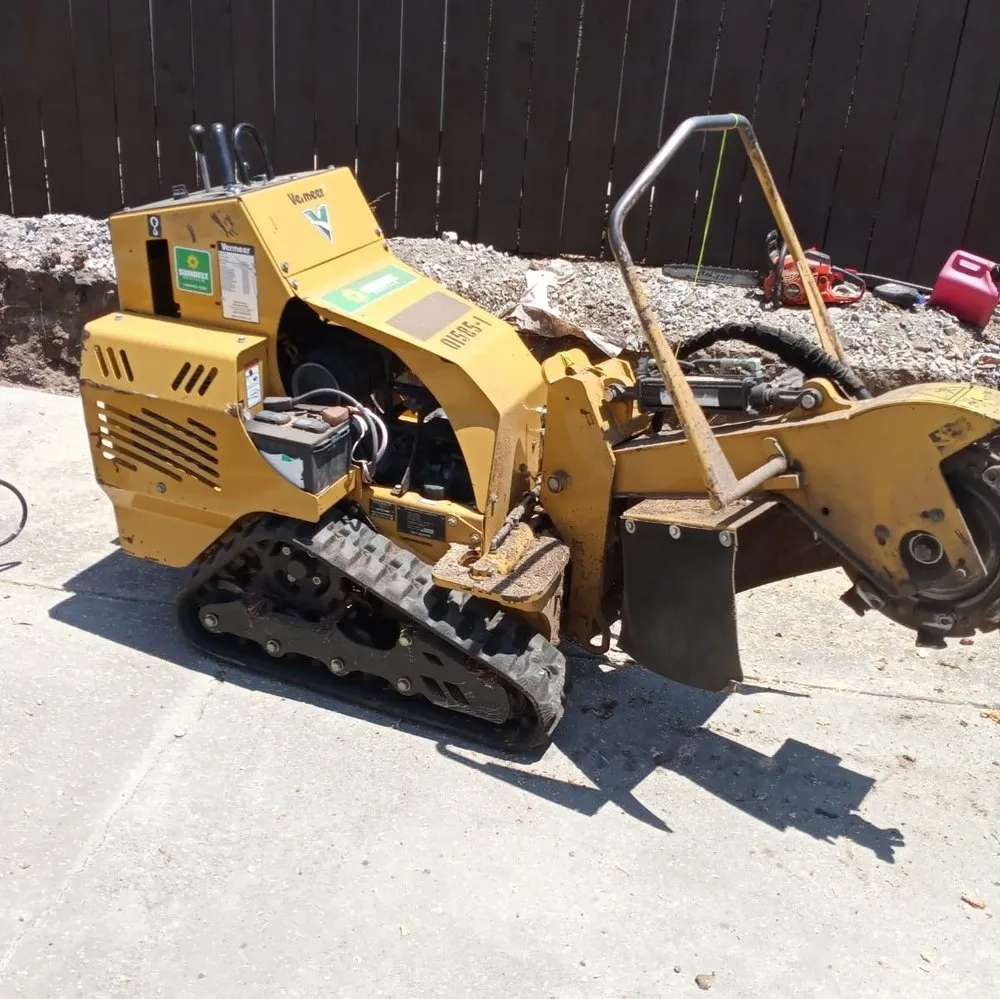 Top-rated landscape installation experts serving San Diego, CA - Diversified Tree Services