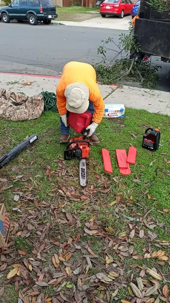 Affordable landscaping services for year-round maintenance in San Diego, CA by Diversified Tree Services