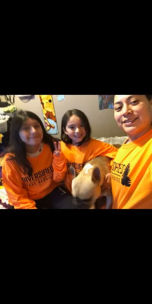 Reliable landscaping services experts serving San Diego, CA - Diversified Tree Services