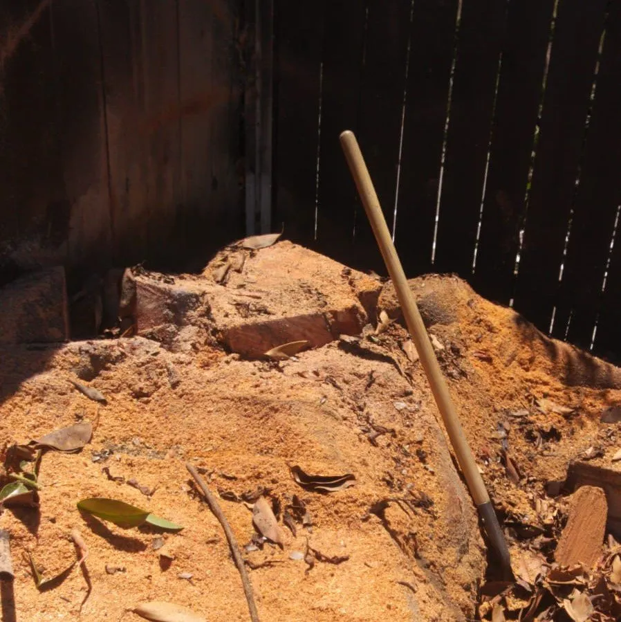 Local landscaping services for beautiful yards across San Diego, CA - Diversified Tree Services