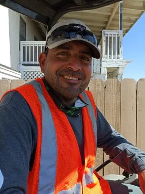 Diversified Tree Services Logo