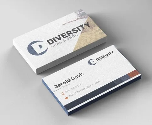 Diversity Lawn and Snow