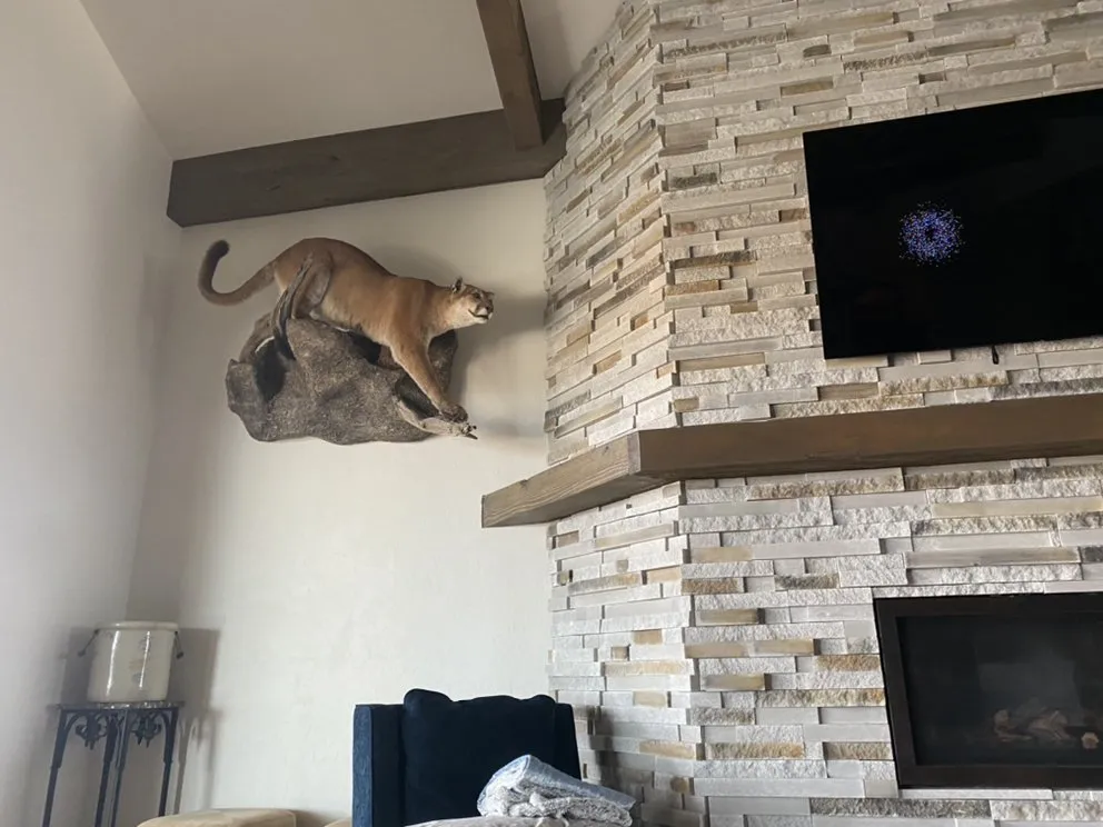 Trusted yard maintenance in Rifle, CO by Divide Creek Construction & Excavation