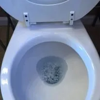 Top-rated garden landscaping with custom design in Baker, LA by Divine Connections Commercial Cleaning & Landscaping