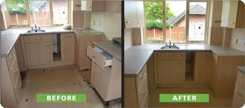 Custom lawn care service near you across Baker, LA - Divine Connections Commercial Cleaning & Landscaping