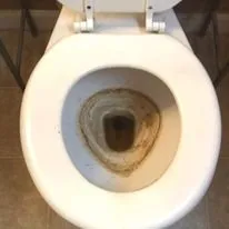 Professional landscape design in Baker, LA - Divine Connections Commercial Cleaning & Landscaping