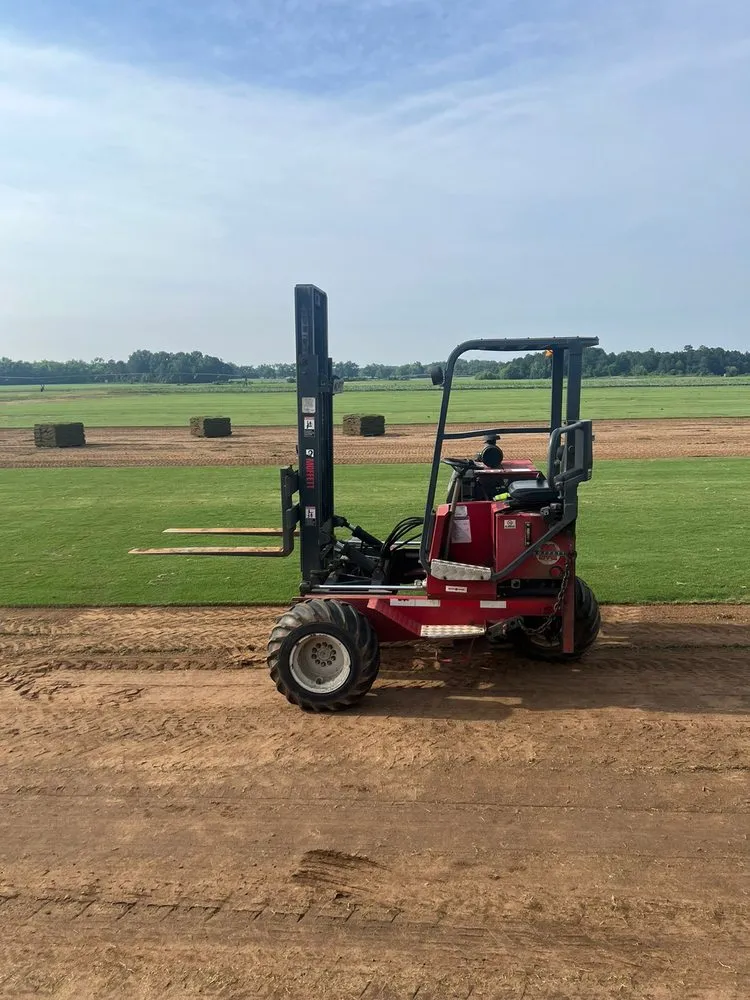 Custom lawn mowing service with custom design in Cumming, GA by Divine Creation Turf