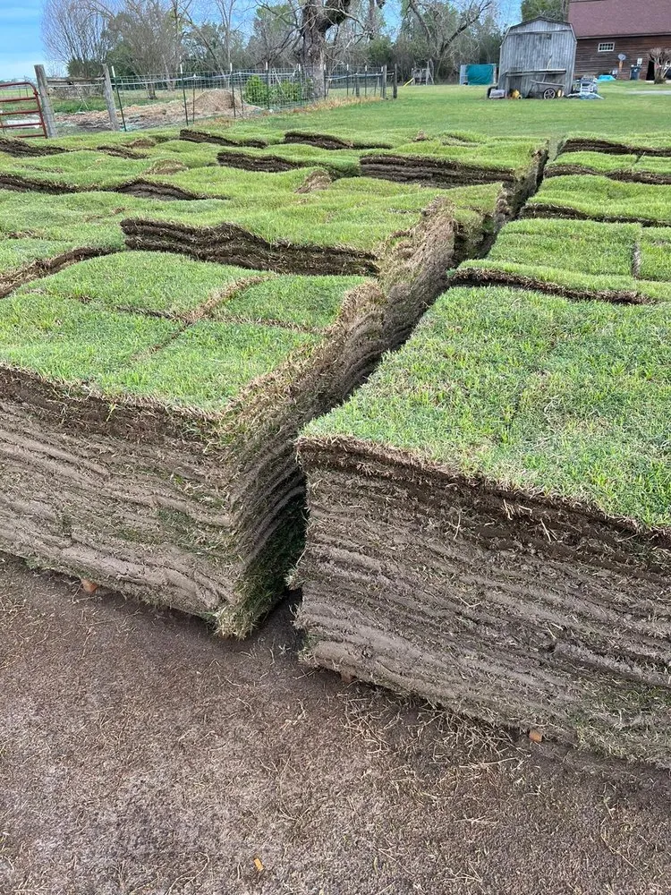 Professional landscape installation in Cumming, GA by Divine Creation Turf