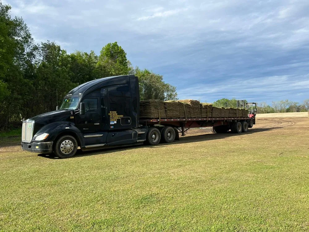 Trusted residential landscaping for beautiful yards in Cumming, GA by Divine Creation Turf
