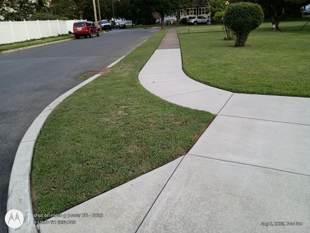 Affordable yard cleanup service in Philadelphia, PA by Divine Design Landscapes