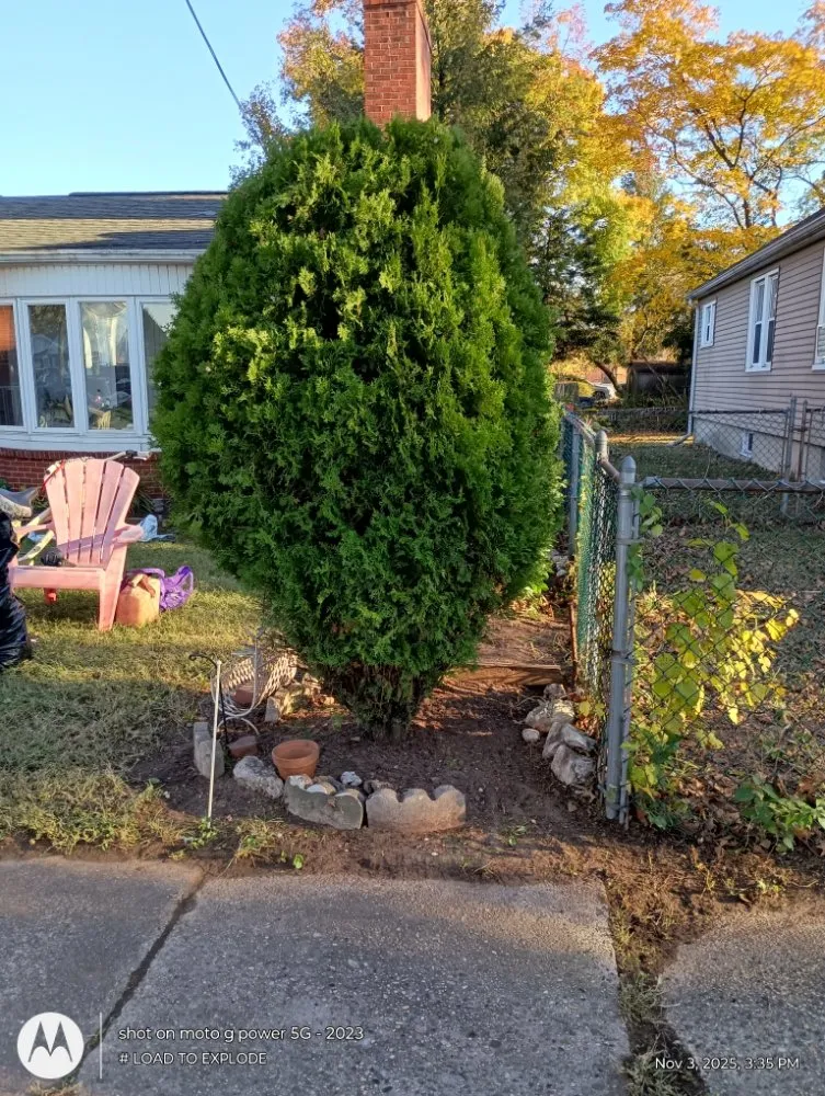 Trusted residential landscaping for outdoor upgrades across Philadelphia, PA - Divine Design Landscapes