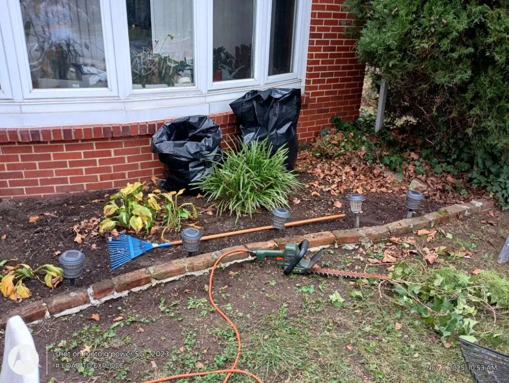 Reliable yard maintenance experts serving Philadelphia, PA - Divine Design Landscapes