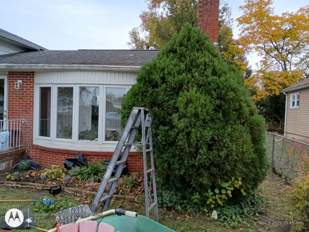 Trusted garden landscaping experts serving Philadelphia, PA - Divine Design Landscapes