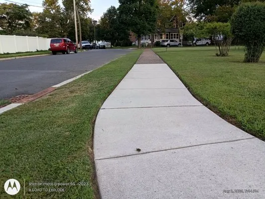 Divine Design Landscapes Logo