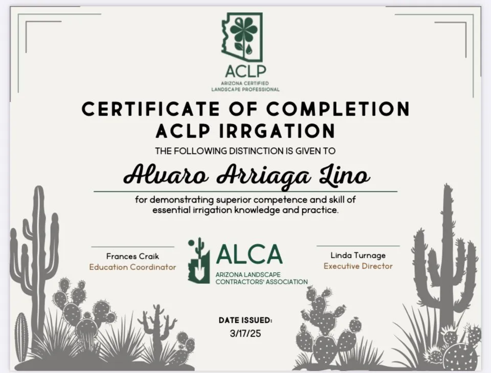 Custom landscape design experts serving Phoenix, AZ - Divine Design Landscaping