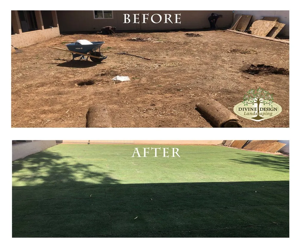 Reliable landscaping services in Phoenix, AZ - Divine Design Landscaping