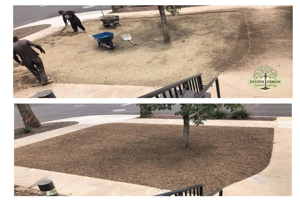 Top-rated lawn care service in Phoenix, AZ by Divine Design Landscaping