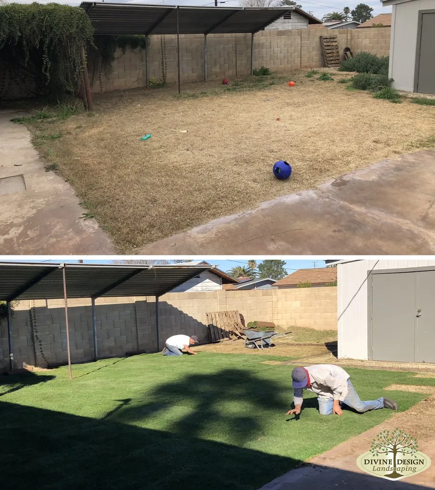 Trusted landscape installation in Phoenix, AZ by Divine Design Landscaping