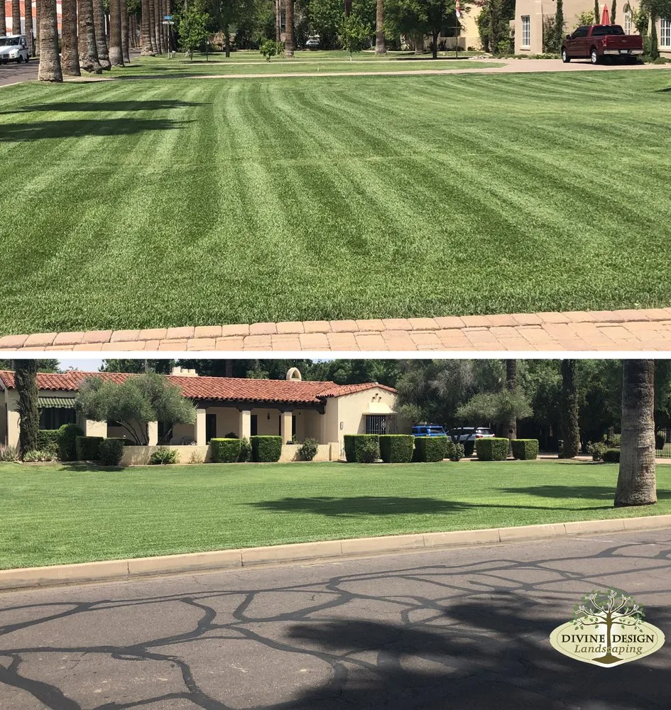 Affordable landscape installation for beautiful yards across Phoenix, AZ - Divine Design Landscaping