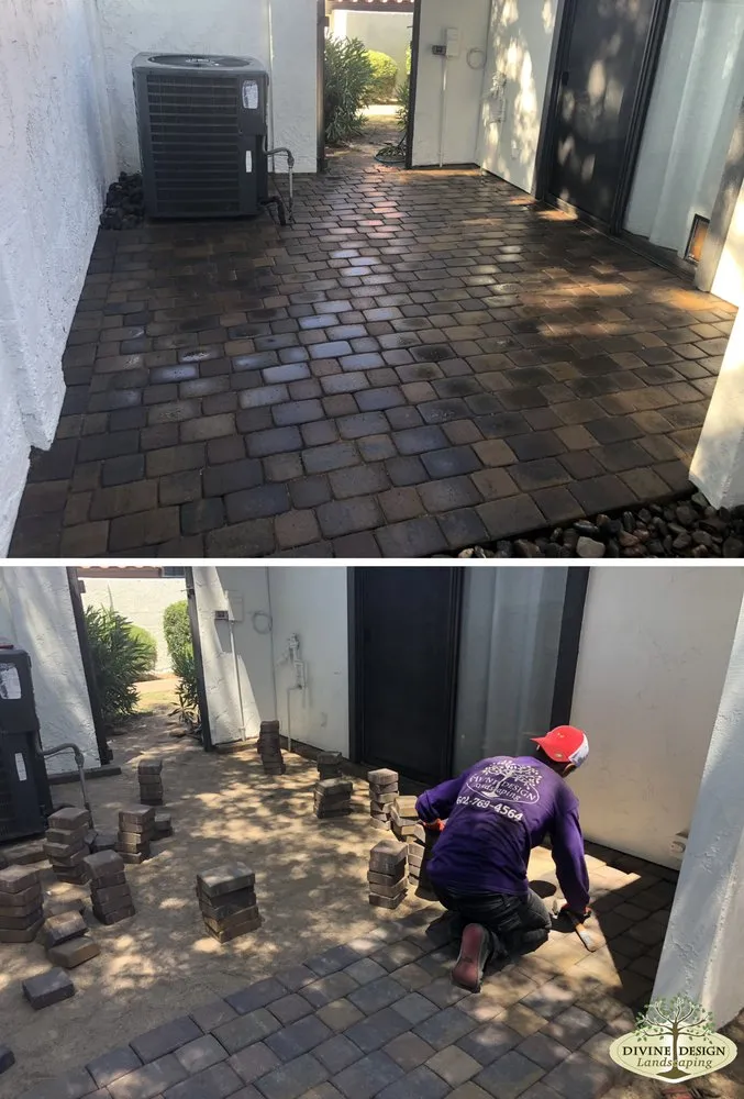 Custom yard maintenance experts serving Phoenix, AZ - Divine Design Landscaping