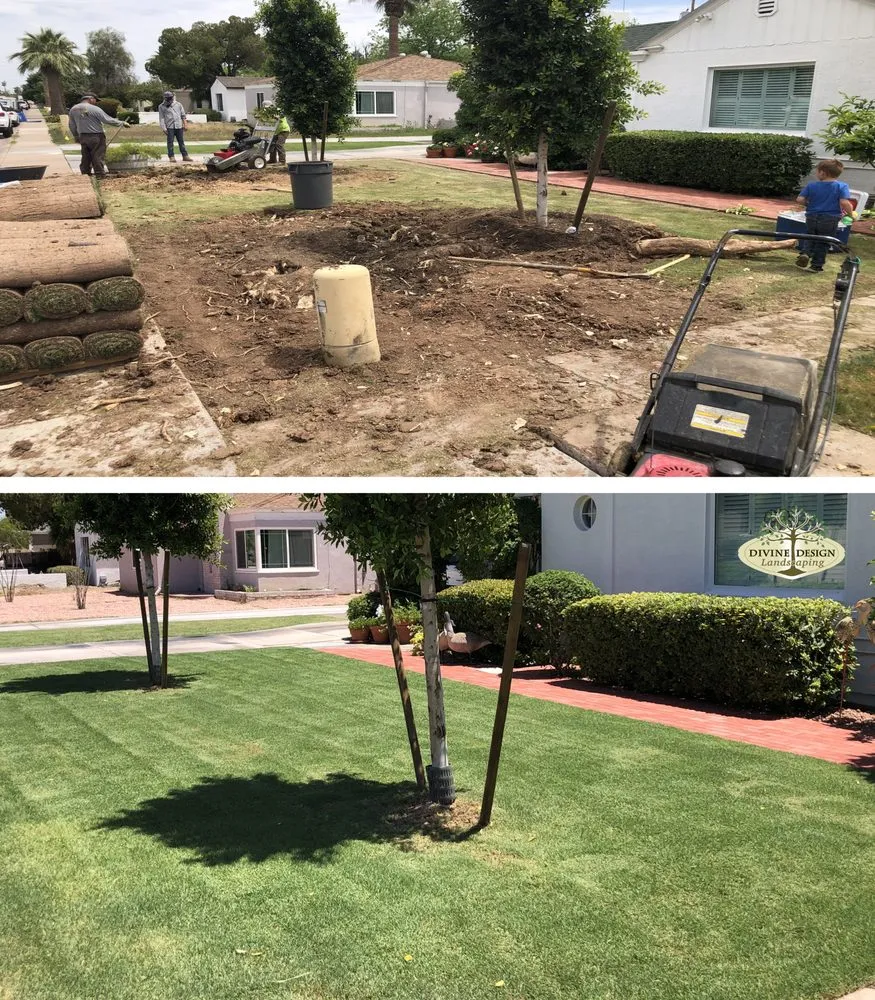 Reliable landscape installation experts serving Phoenix, AZ - Divine Design Landscaping