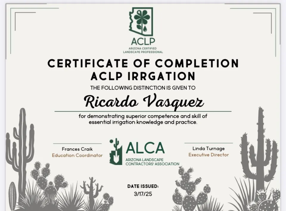 Local landscape design in Phoenix, AZ - Divine Design Landscaping