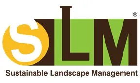 Reliable garden landscaping in Phoenix, AZ - Divine Design Landscaping