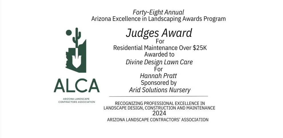 Expert landscape installation in Phoenix, AZ by Divine Design Landscaping