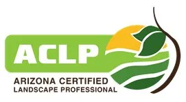 Reliable outdoor landscaping in Phoenix, AZ by Divine Design Landscaping