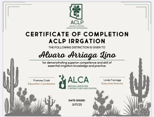 Divine Design Landscaping