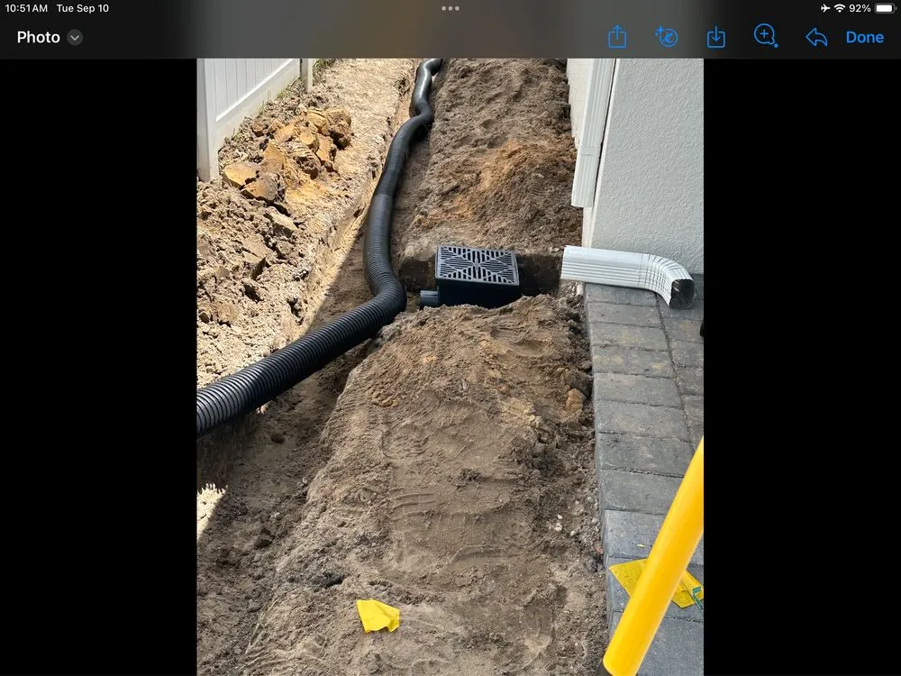 Reliable yard cleanup service in Leesburg, FL - Divine Designs & Landscaping