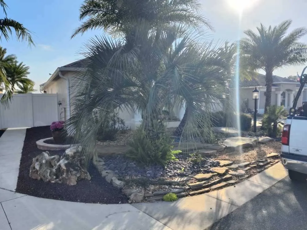 Expert residential landscaping for residential properties across Leesburg, FL - Divine Designs & Landscaping