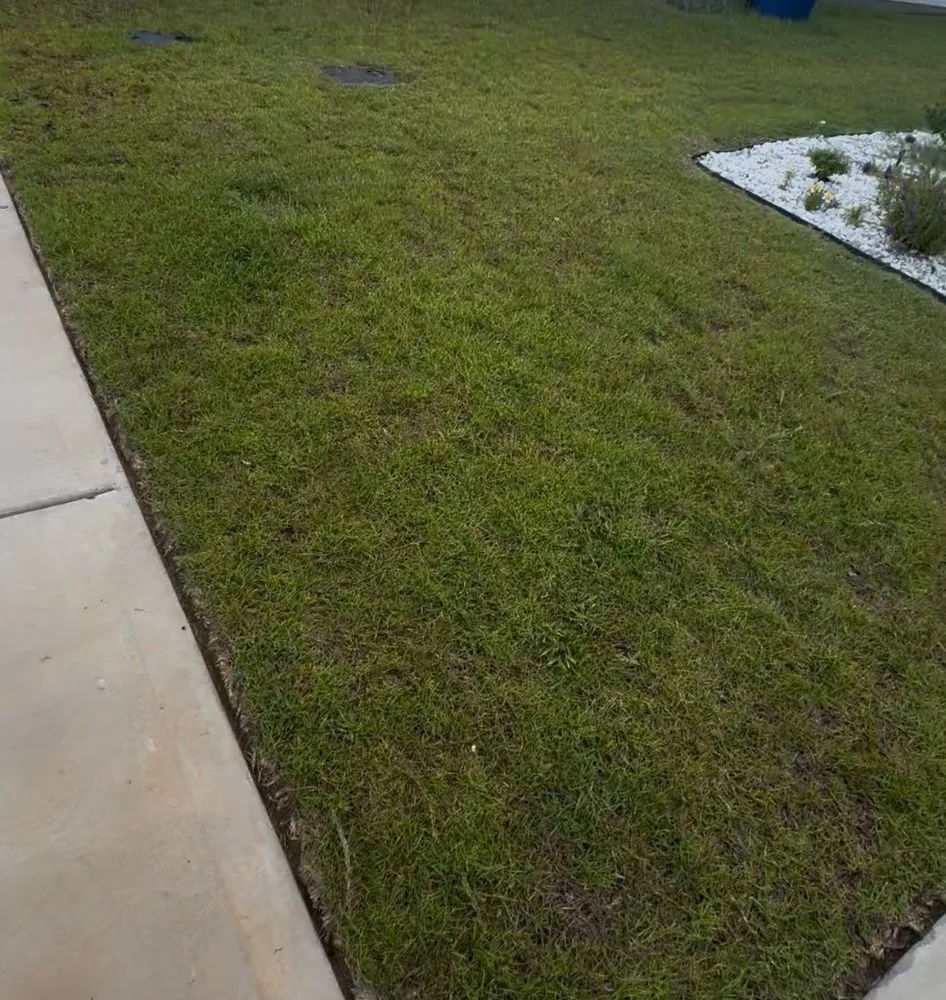 Local yard cleanup service for homes across Panama City, FL - Divine Duty Lawn Care Services