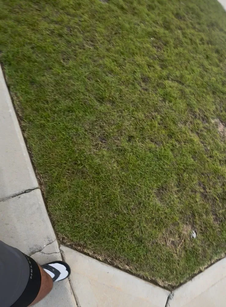 Expert landscaping services in Panama City, FL - Divine Duty Lawn Care Services