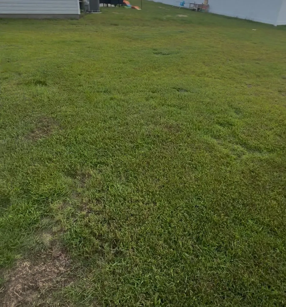 Reliable yard cleanup service for year-round maintenance across Panama City, FL - Divine Duty Lawn Care Services