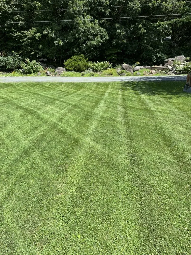 Reliable outdoor landscaping for residential properties in Elizabethtown, PA by Divine Four Lawn Care