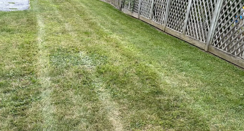 Local yard maintenance for residential properties across Elizabethtown, PA - Divine Four Lawn Care